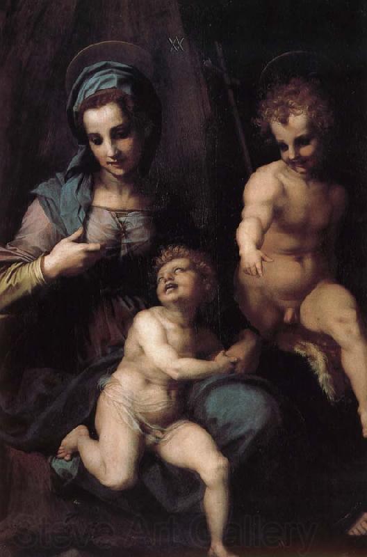 Andrea del Sarto The Virgin and Child with St. John childhood